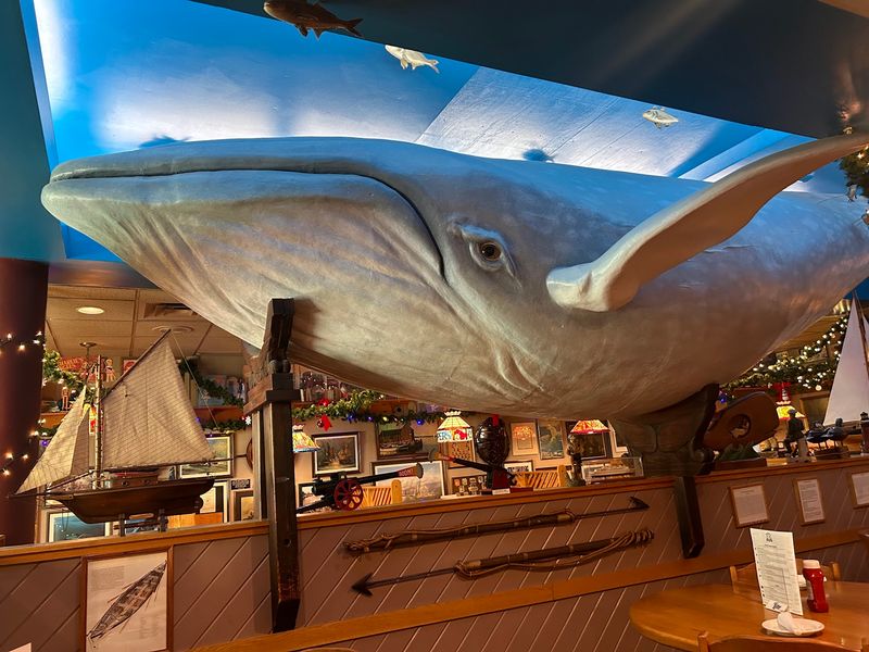 The Rooms That Make You Forget You Are Eating The Rooms That Make You Forget You Are Eating
