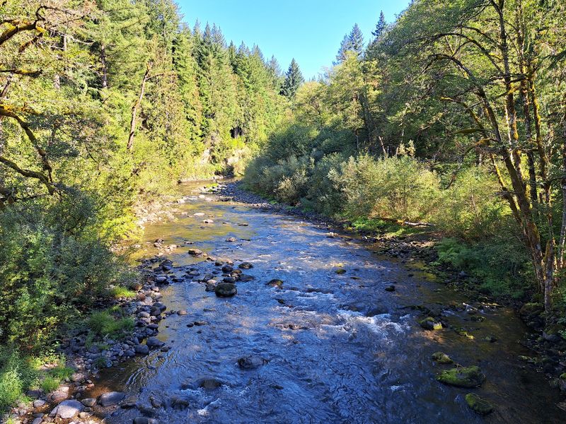 The Salmon River and Its Surrounding Trails The Salmon River and Its Surrounding Trails