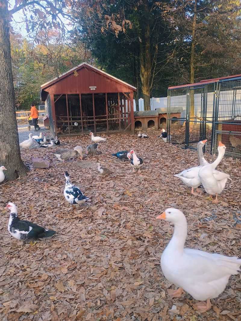 The Sanctuary Story Behind The Stop The Sanctuary Story Behind The Stop