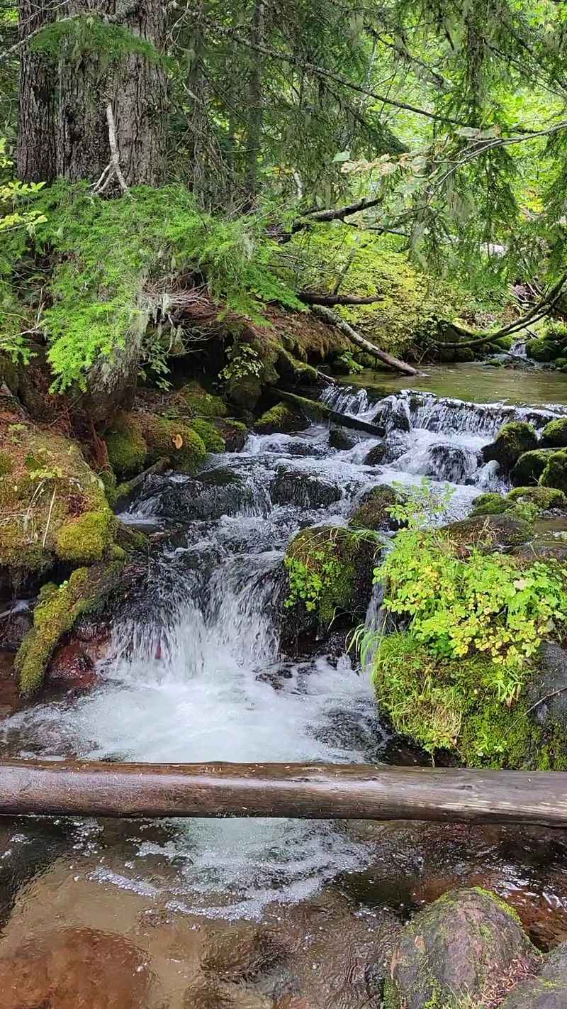 The Sandy River and Ramona Falls Nearby The Sandy River and Ramona Falls Nearby