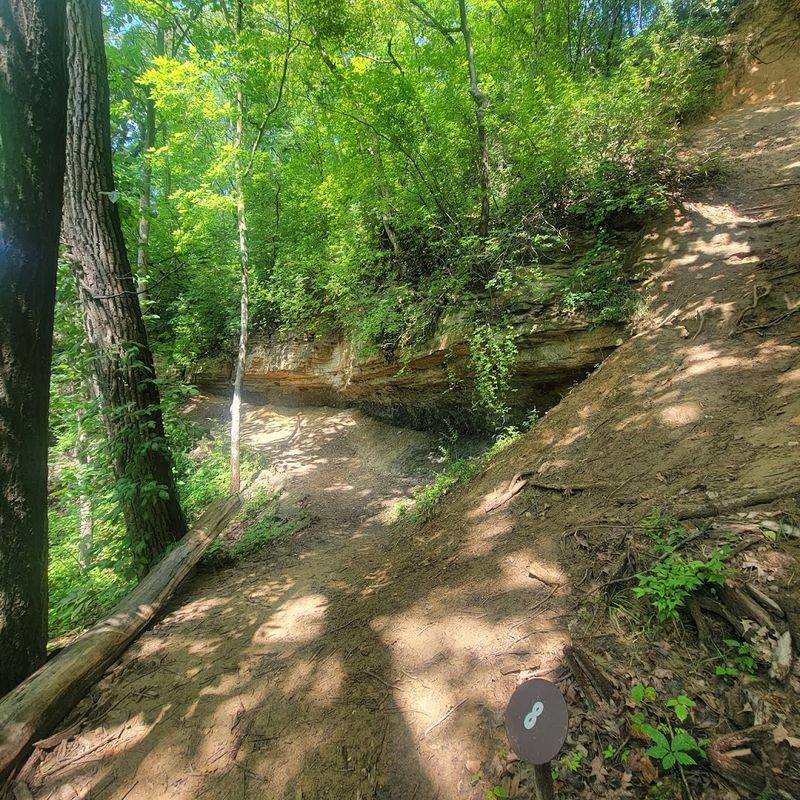 The Sauk Nation and Saukenuk: A Village That Shaped a Region