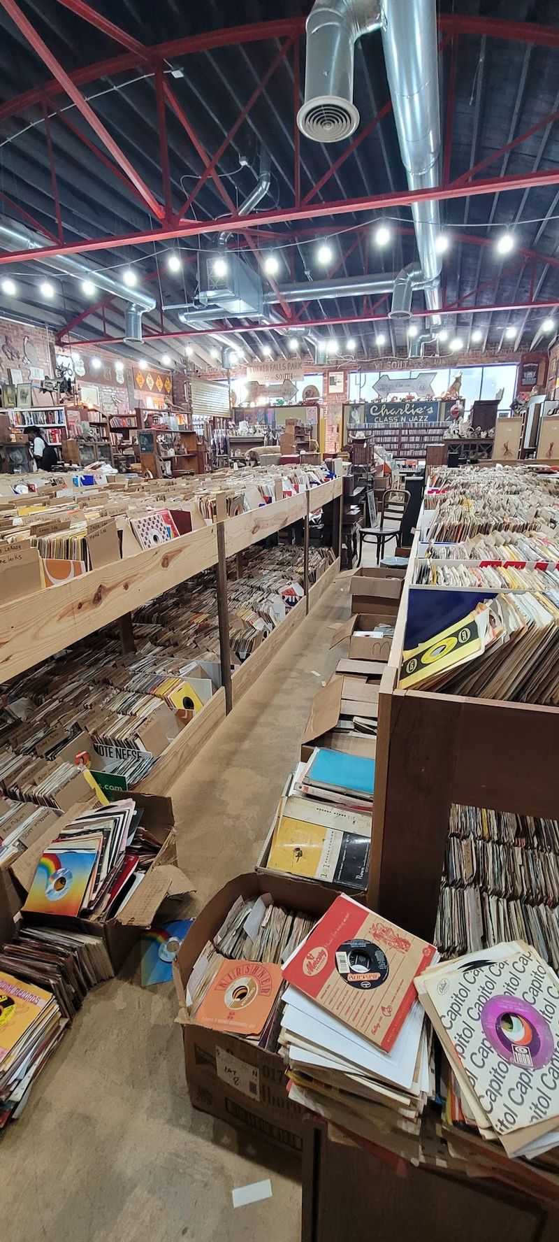 The Scale of the Vinyl Collection