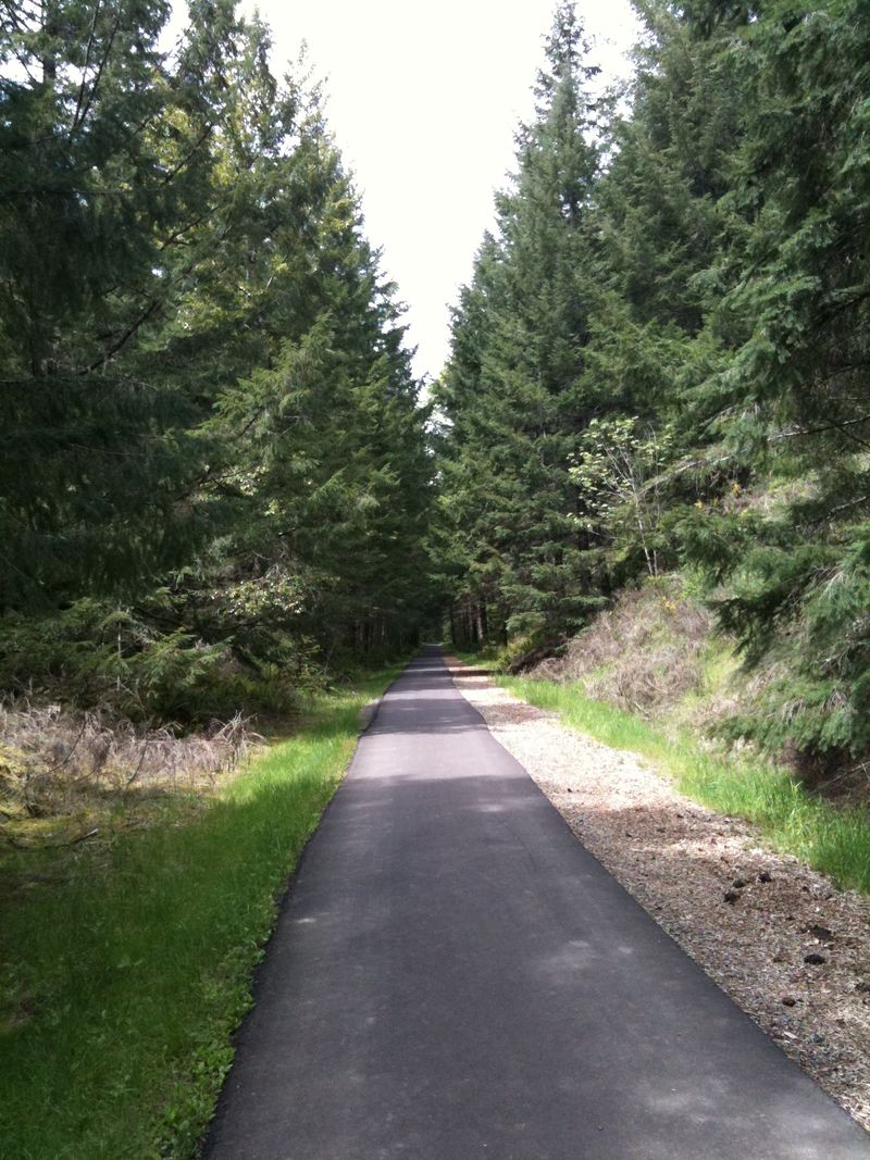The Scenery Shifts from Farmland to Forest