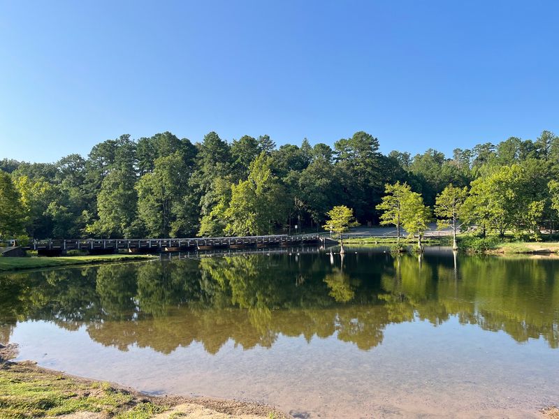 The Scenic Train Ride and Other Unique Park Experiences
