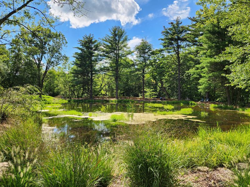 The Setting: Gardens, Creek, and Quiet Woodland The Setting: Gardens, Creek, and Quiet Woodland