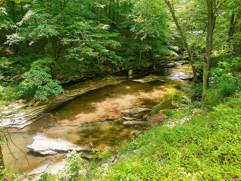 The Shawnee National Forest Connection