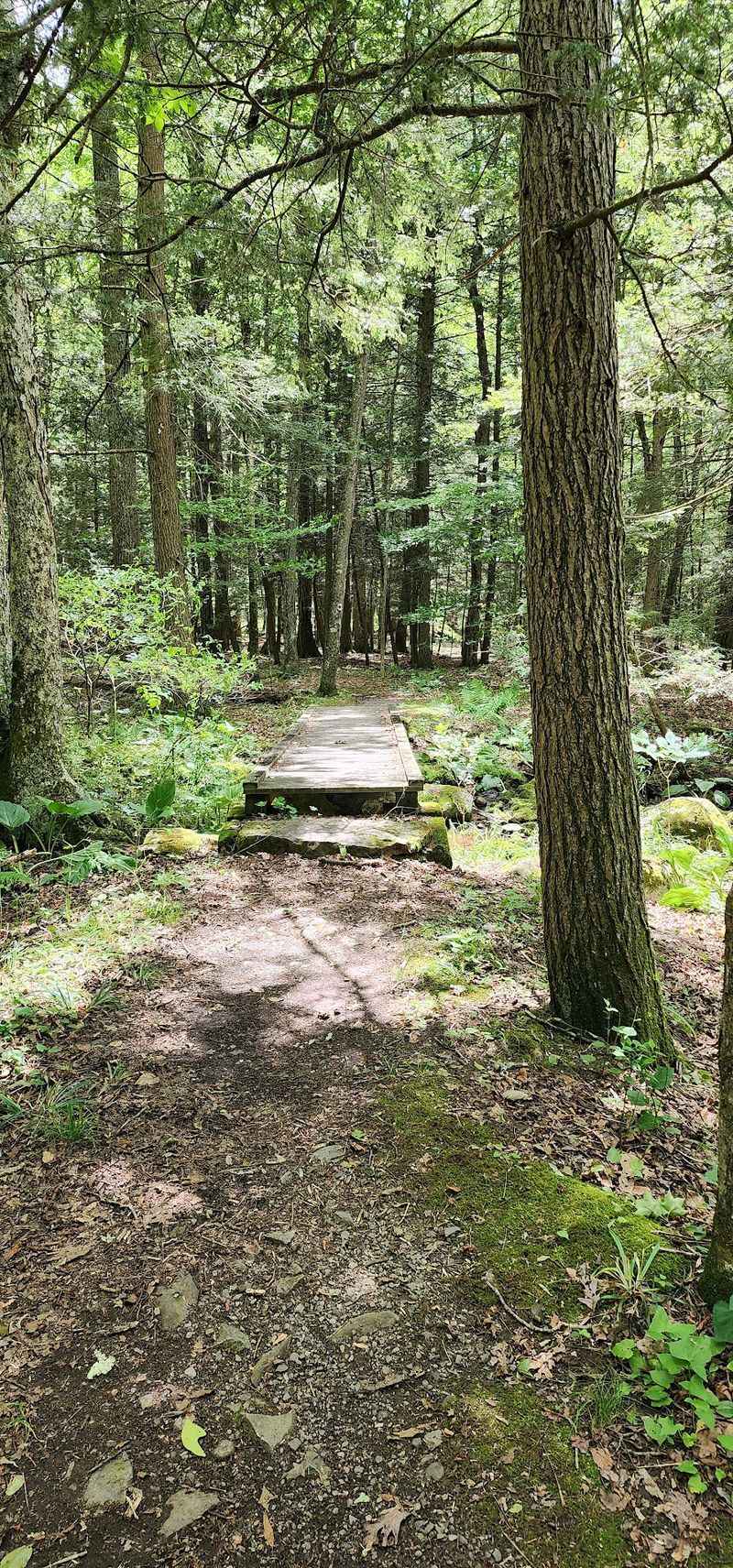 The Short Trail That Keeps Things Friendly The Short Trail That Keeps Things Friendly