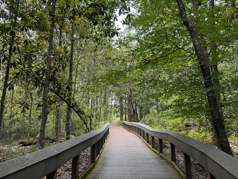 The Short Walk That Anyone Can Manage The Short Walk That Anyone Can Manage