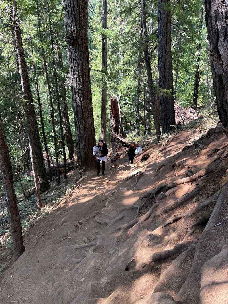 The Short but Sweaty Climb to Reach It The Short but Sweaty Climb to Reach It