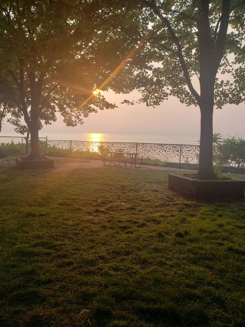 The Small Park Next Door