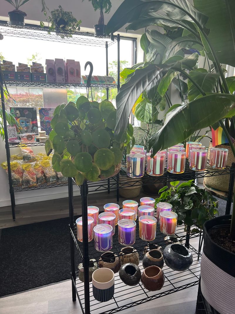 The Small-Shop Story Behind The Counter