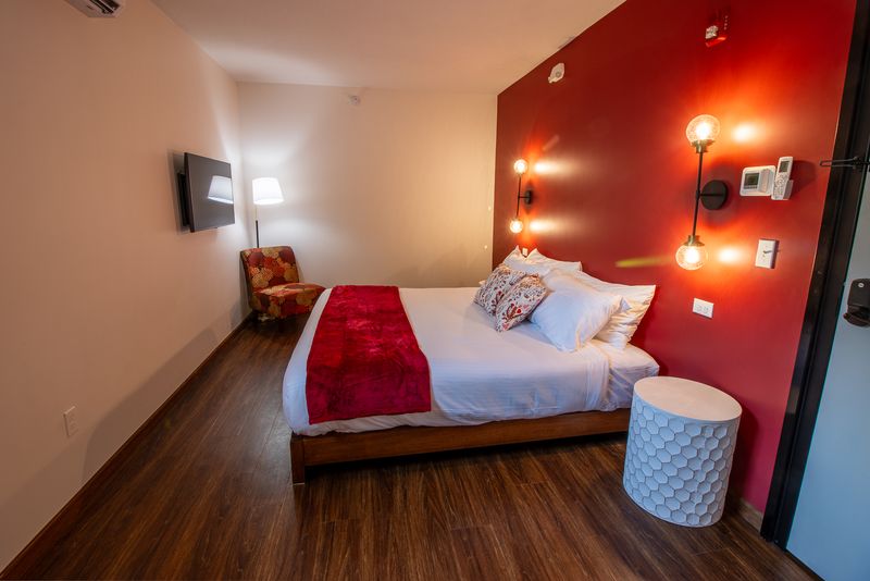 The Snuggery Room and What Makes It the Most Talked-About Space in the Building The Snuggery Room and What Makes It the Most Talked-About Space in the Building