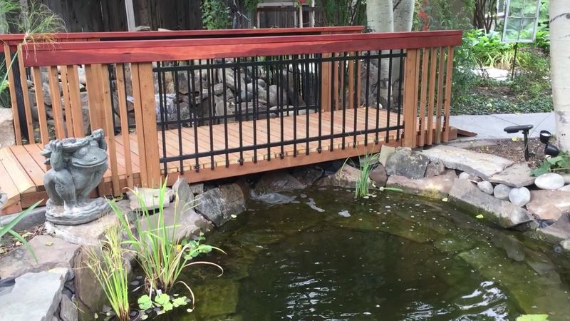 The Soothing Embrace of Water and Stone
