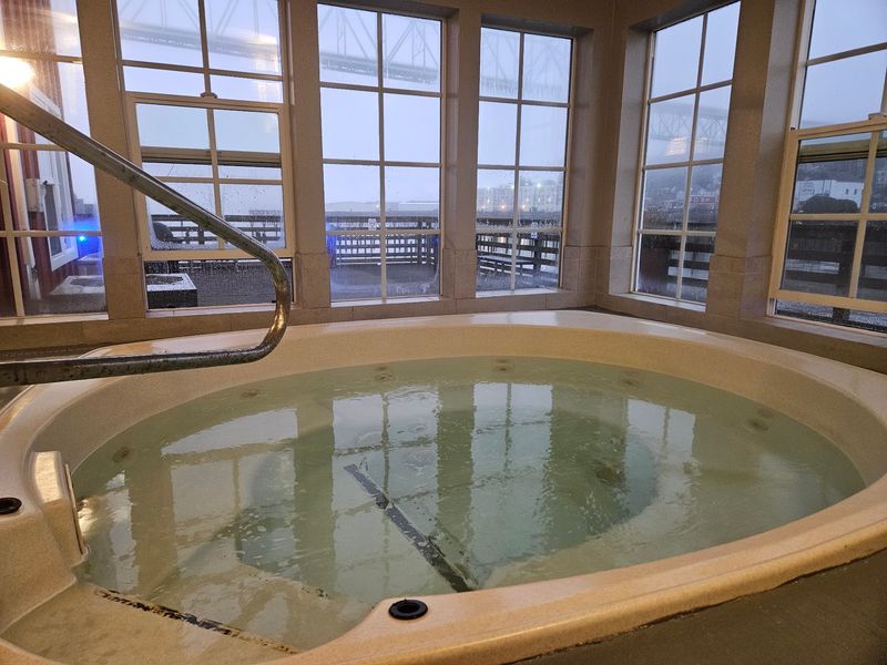 The Spa, Sauna, and Hot Tub Experience The Spa, Sauna, and Hot Tub Experience
