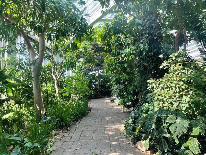 The Spice and Tropical Fruit Garden Worth Slowing Down For The Spice and Tropical Fruit Garden Worth Slowing Down For