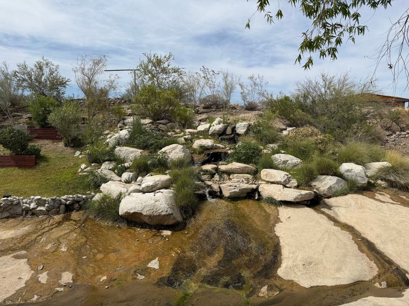The Spring-Fed Waterfall and Garden Out Back
