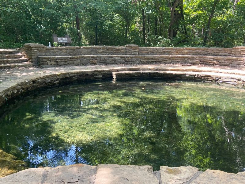 The Spring Itself Up Close