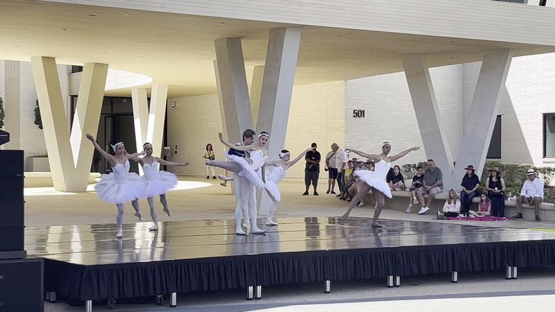 The Stage Is Set: Performing Arts That Steal the Show