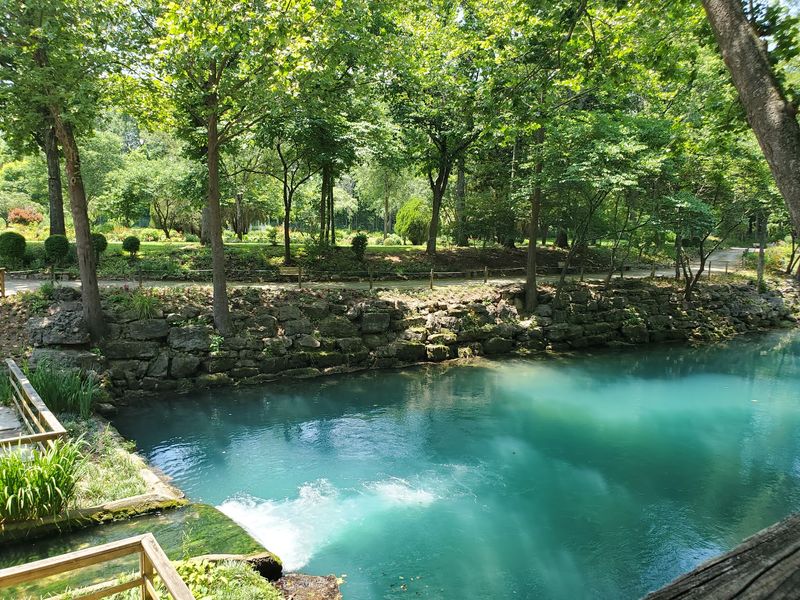 The Staggering Power of Blue Spring Itself The Staggering Power of Blue Spring Itself