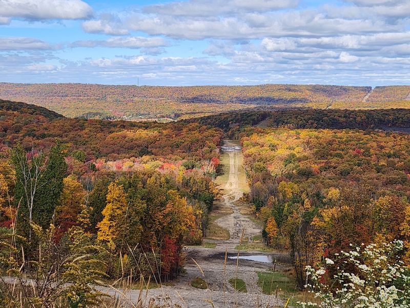The Staggering Scale of the Trail Network
