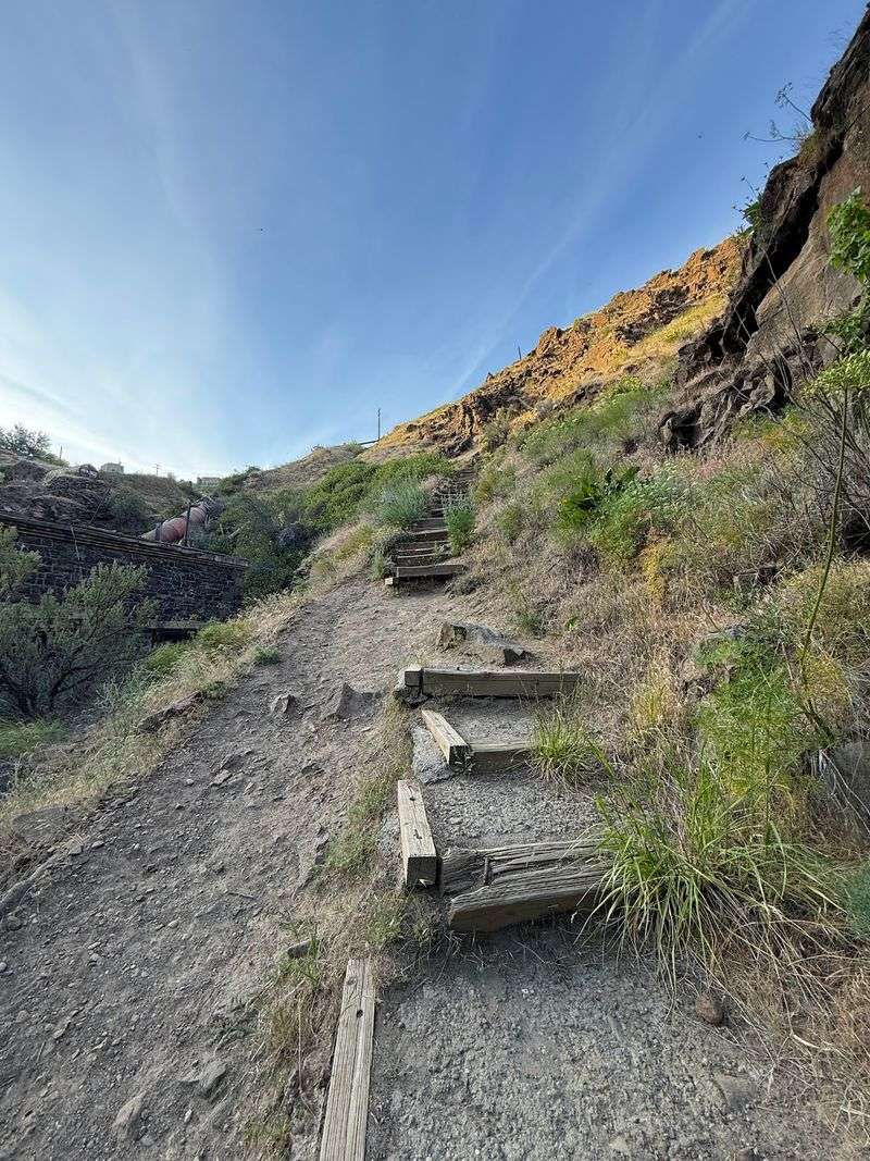 The Steep Canyon Trail Experience