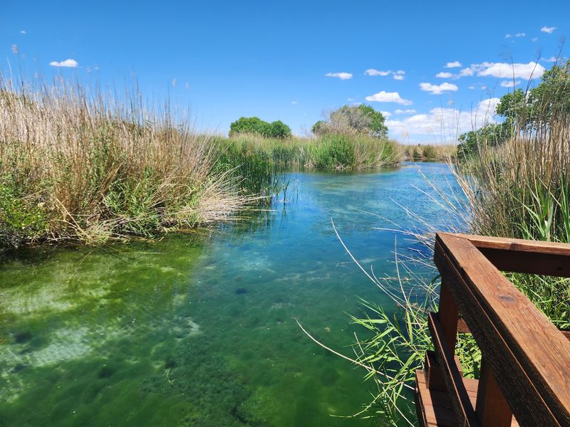 The Story Behind The Springs The Story Behind The Springs