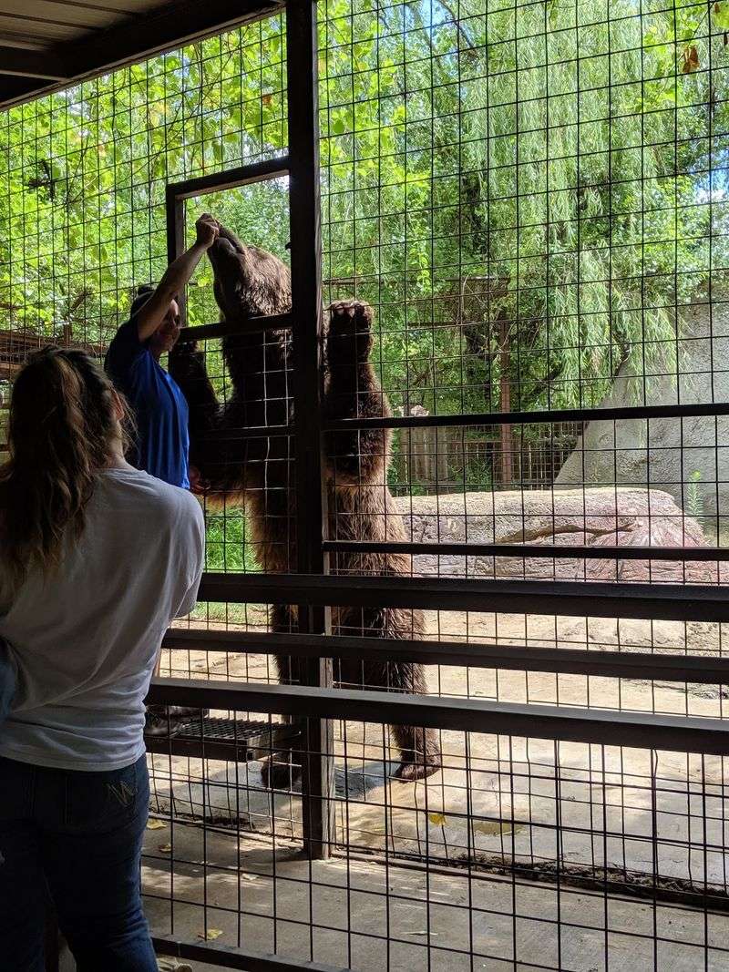 The Story Behind This Family-Run Sanctuary The Story Behind This Family-Run Sanctuary