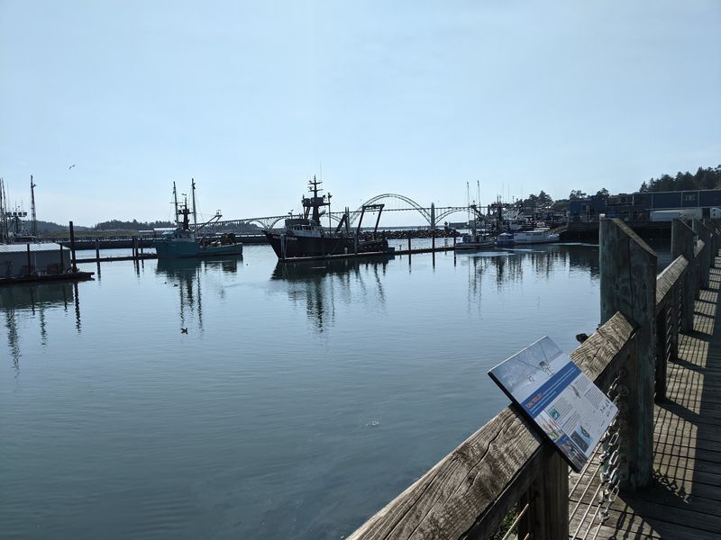 The Story Behind a True Fish House The Story Behind a True Fish House