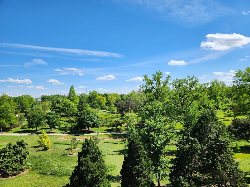 The Story Behind the Grounds