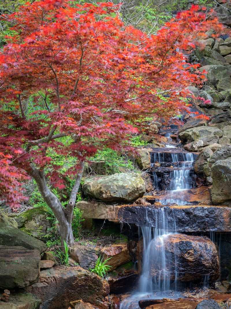 The Story Behind the Grounds The Story Behind the Grounds