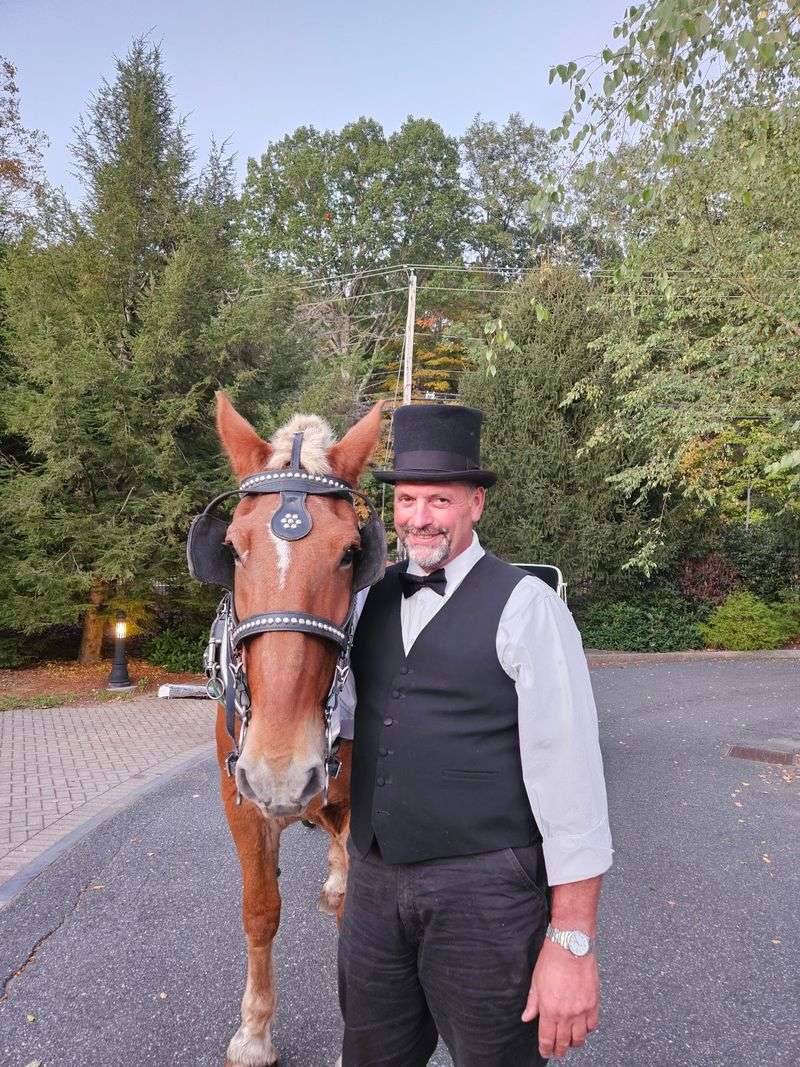 The Story Behind the Reins The Story Behind the Reins