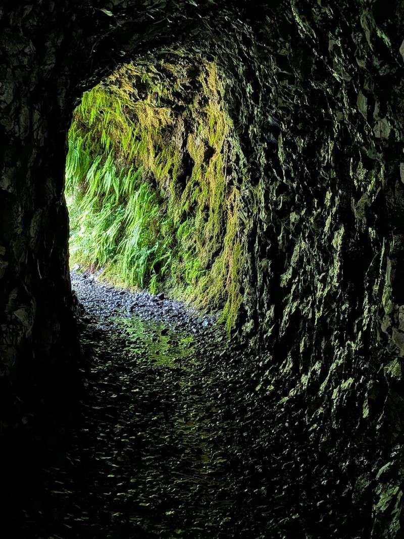 The Story Behind the Tunnel The Story Behind the Tunnel