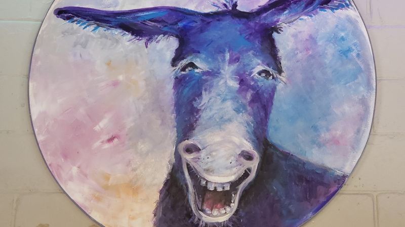 The Story of Domino, the Donkey Who Started It All