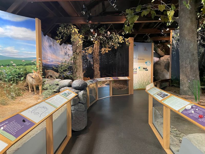 The Story of the Connecticut River Valley The Story of the Connecticut River Valley