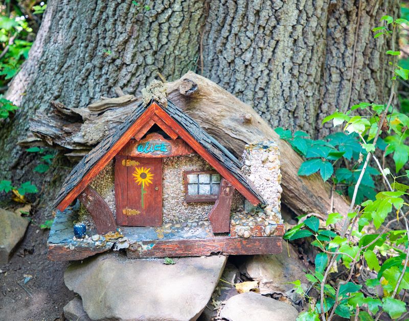The Storybook Idea Behind The Path
