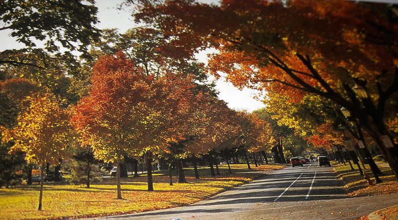 The Street That Rewrites What You Know About Minnesota The Street That Rewrites What You Know About Minnesota