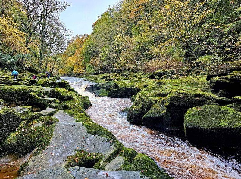 The Strid (Yorkshire, England) The Strid (Yorkshire, England)