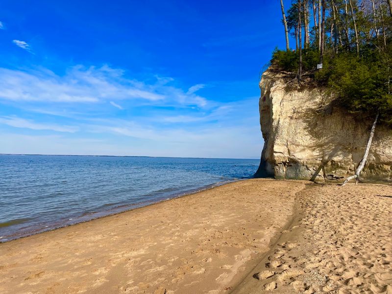 The Surprising Beach That Started It All
