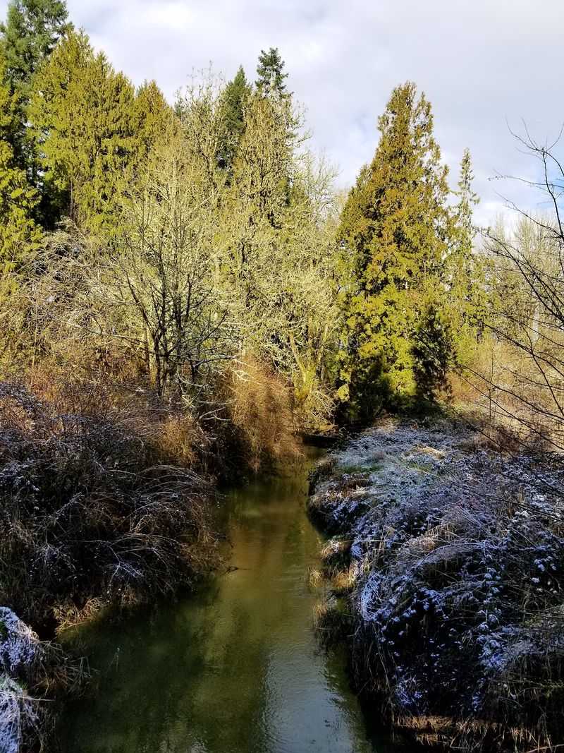 The Surrounding Illinois Valley Landscape