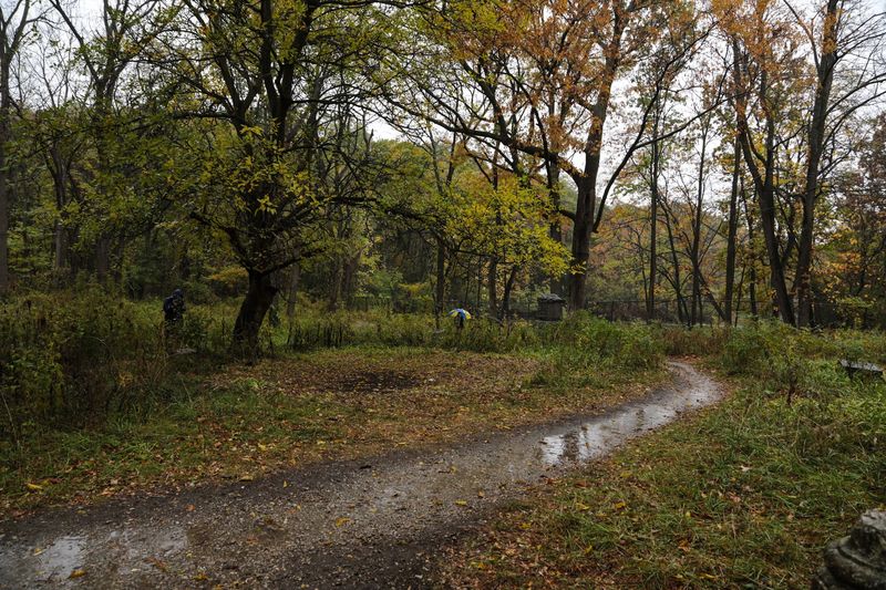 The Surrounding Rubio Woods Trail System The Surrounding Rubio Woods Trail System