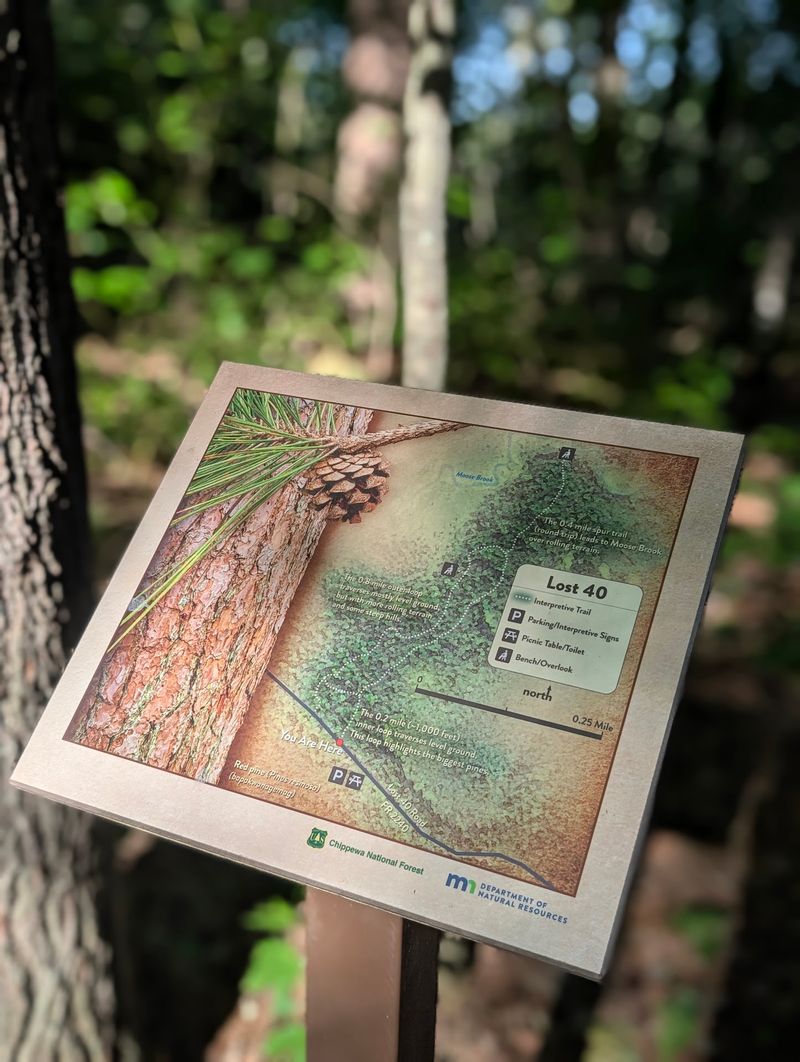 The Surveying Mistake That Changed Everything The Surveying Mistake That Changed Everything
