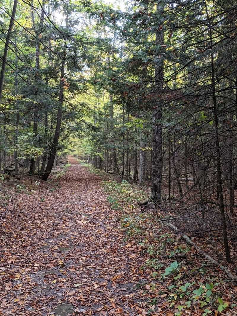 The Three-Mile Nature Trail Through the Pines The Three-Mile Nature Trail Through the Pines