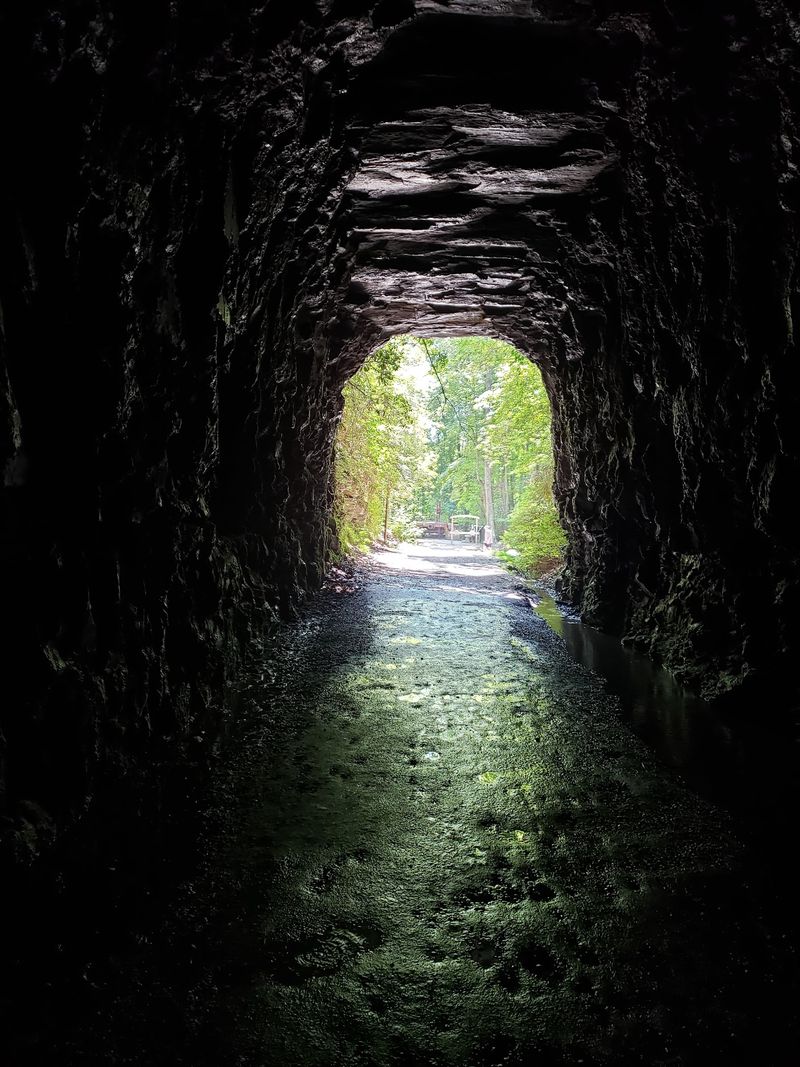 The Time Clemson University Made Cheese Inside the Tunnel The Time Clemson University Made Cheese Inside the Tunnel