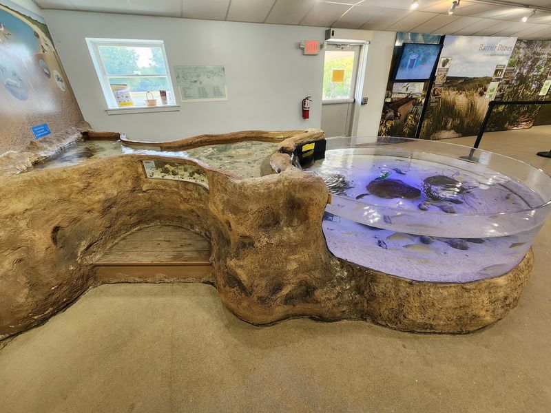 The Touch Tank That Stops Everyone in Their Tracks The Touch Tank That Stops Everyone in Their Tracks