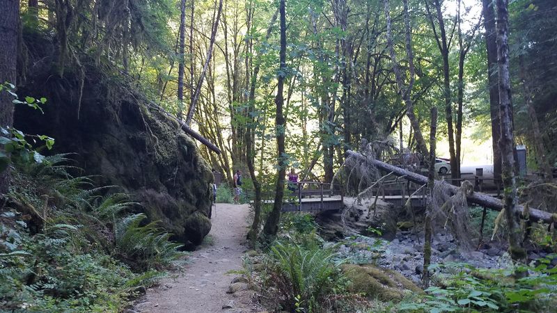 The Trail Itself: Short, Steady, and Surprisingly Rewarding