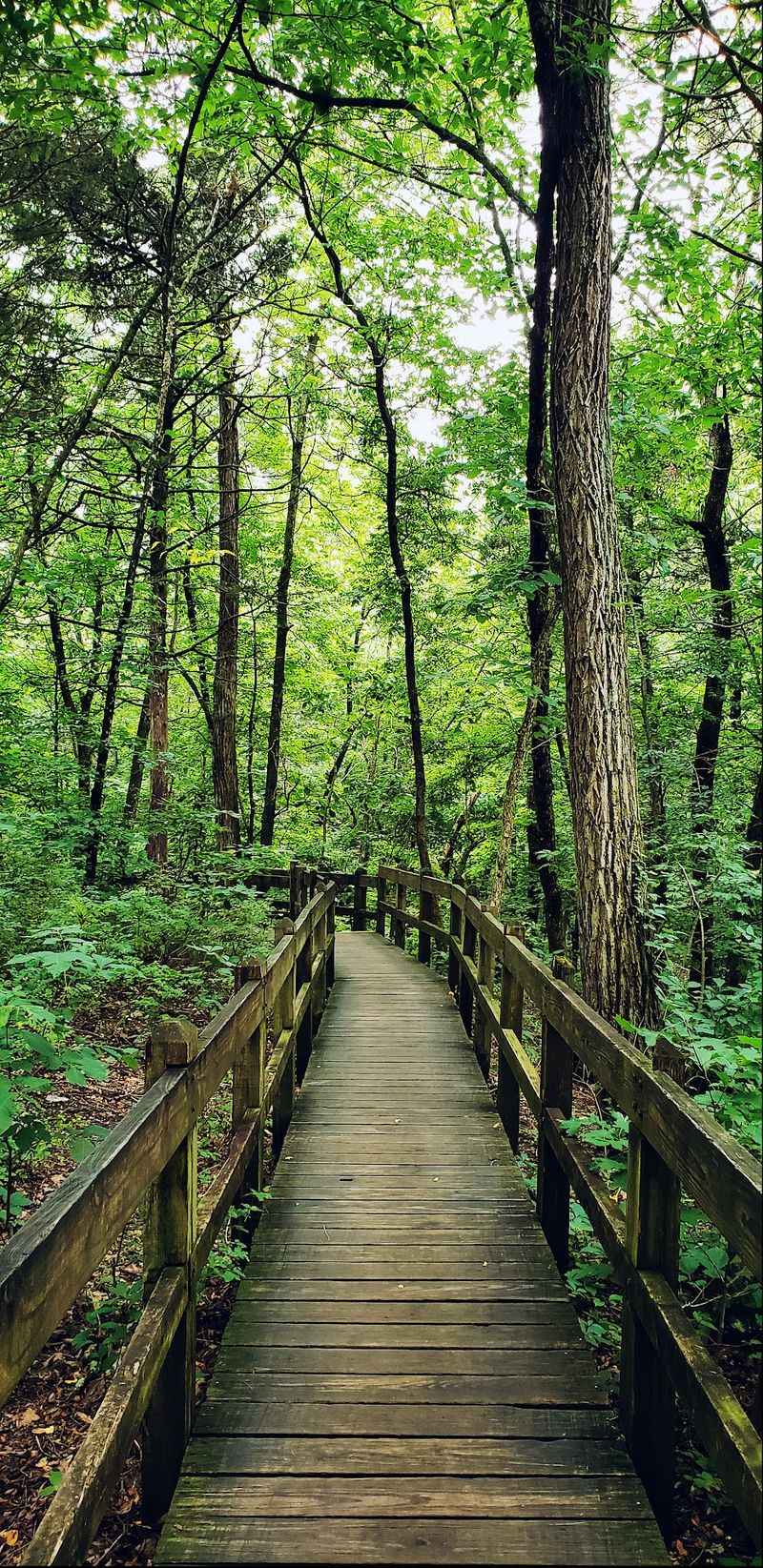 The Trail Network: Over 20 Miles of Terrain to Explore The Trail Network: Over 20 Miles of Terrain to Explore