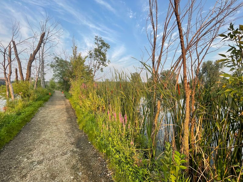 The Trail System Beyond the Boardwalk