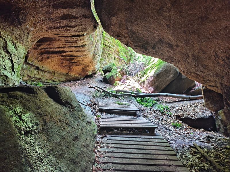 The Trail System Hidden in the Woods