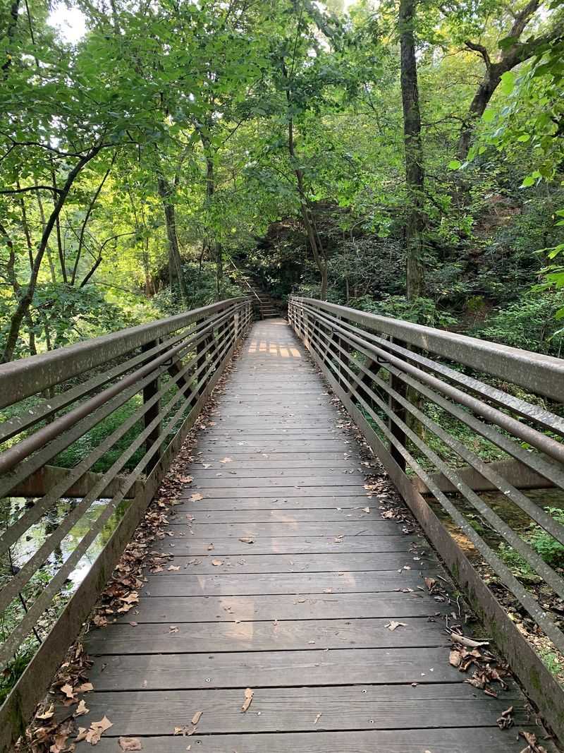 The Trail System and How It Flows