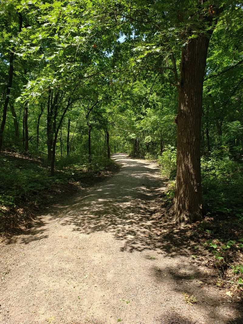 The Trail That Gets You There